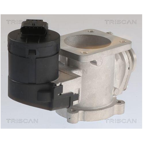 TRISCAN AGR-Ventil 8813 11020