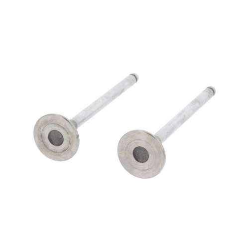 CORTECO Auslassventil 551148B