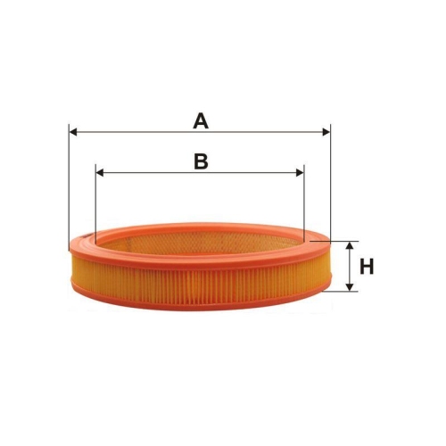 FILTRON Luftfilter AR 244
