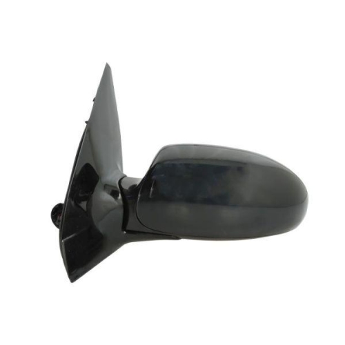 BLIC Au&szlig;enspiegel 5402-04-1139399P