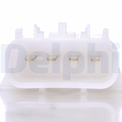 DELPHI Schlingertopf, Kraftstoffpumpe FG2074-12B1