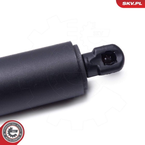 ESEN SKV Elektromotor, Heckklappe 52SKV971