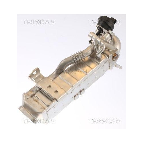 TRISCAN K&uuml;hler, Abgasr&uuml;ckf&uuml;hrung 8813 11022