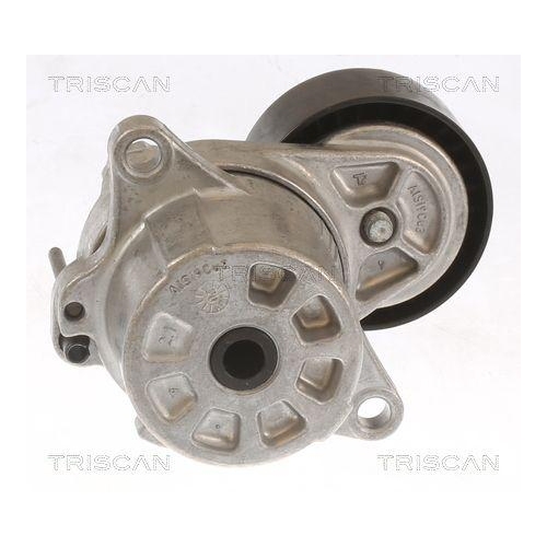 TRISCAN Riemenspanner, Keilrippenriemen 8641 101010