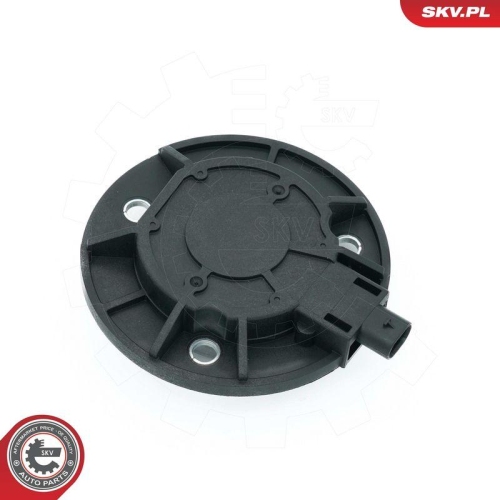 ESEN SKV Zentralmagnet, Nockenwellenverstellung 39SKV900