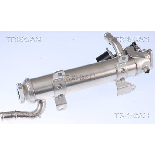 TRISCAN Kühler, Abgasrückführung 8813 29322