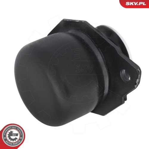 ESEN SKV Lagerung, Motor 75SKV115