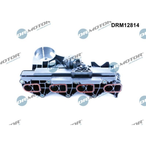 Dr.Motor Automotive Saugrohrmodul DRM12814