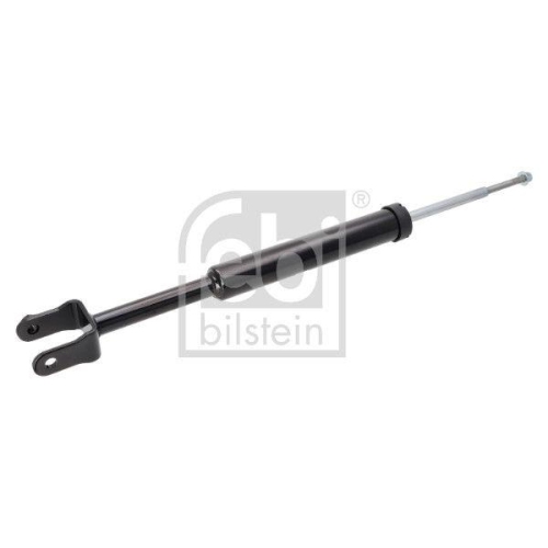 FEBI BILSTEIN Sto&szlig;d&auml;mpfer 1002417