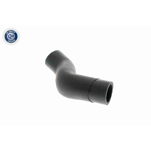 VAICO K&uuml;hlerschlauch Q+, Erstausr&uuml;sterqualit&auml;t V20-2608