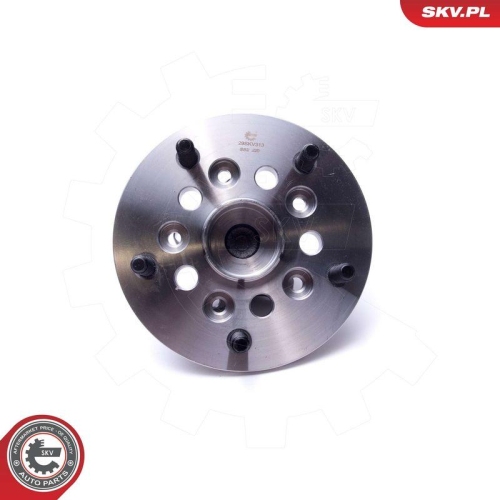 ESEN SKV Radlagersatz 29SKV313