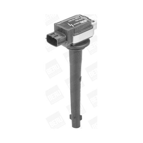 BorgWarner (BERU) Zündspule ZSE056