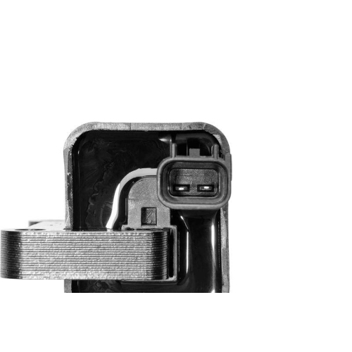 BorgWarner (BERU) Z&uuml;ndspule ZS580