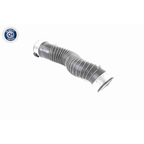VAICO Ladeluftschlauch Q+, Erstausrüsterqualität V20-3251