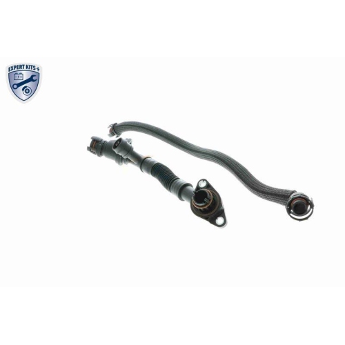 VAICO Kühlerschlauch EXPERT KITS + V20-3291