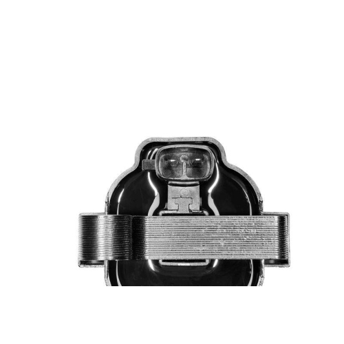 BorgWarner (BERU) Z&uuml;ndspule ZS583