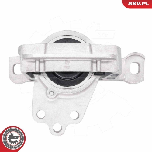 ESEN SKV Lagerung, Motor 75SKV296