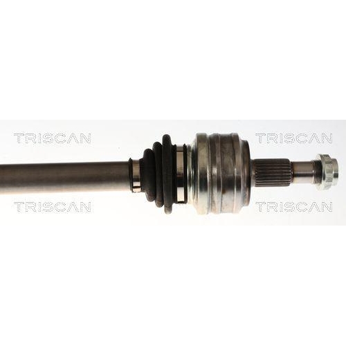 TRISCAN Antriebswelle