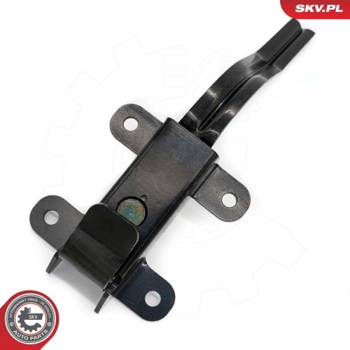ESEN SKV T&uuml;rfeststeller 16SKV932