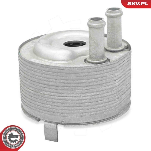 ESEN SKV &Ouml;lk&uuml;hler, Motor&ouml;l 31SKV315