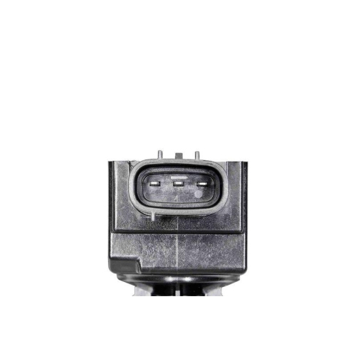 BorgWarner (BERU) Z&uuml;ndspule ZSE297