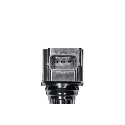 BorgWarner (BERU) Z&uuml;ndspule ZSE302