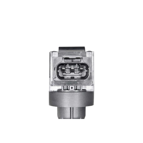 BorgWarner (BERU) Z&uuml;ndspule ZSE319