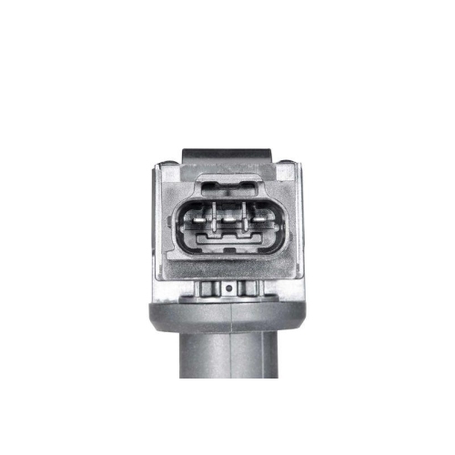 BorgWarner (BERU) Z&uuml;ndspule ZSE320