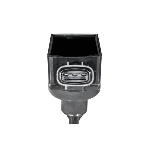 BorgWarner (BERU) Z&uuml;ndspule ZSE322