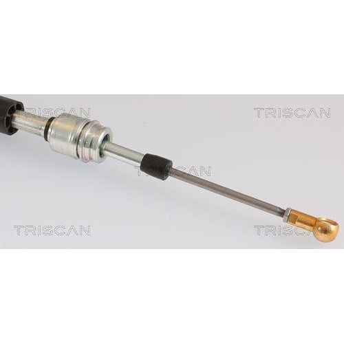 TRISCAN Seilzug, Automatikgetriebe 8140 29722