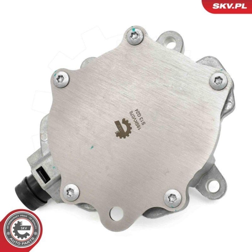 ESEN SKV Unterdruckpumpe, Bremsanlage 18SKV076