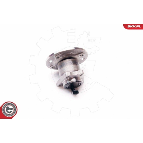 ESEN SKV Radlagersatz 29SKV113