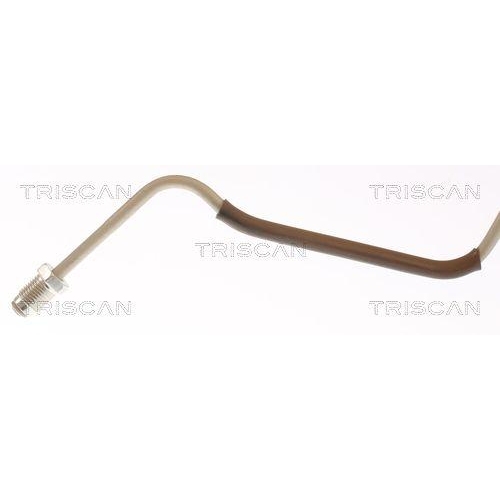 TRISCAN Bremsschlauch 8150 25286