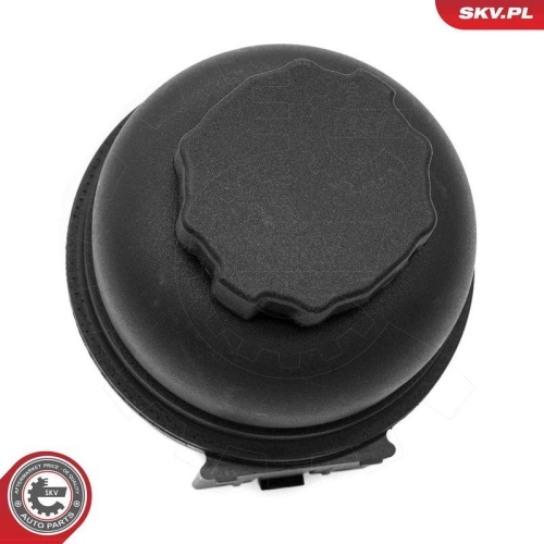ESEN SKV Ausgleichsbeh&auml;lter, Hydraulik&ouml;l (Servolenkung) 61SKV910