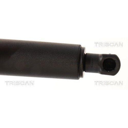 TRISCAN Gasfeder, Koffer-/Laderaum 8710 11295