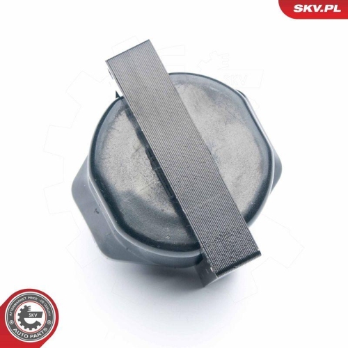 ESEN SKV Z&uuml;ndspule 03SKV253