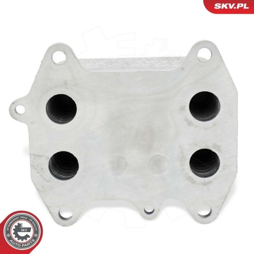 ESEN SKV &Ouml;lk&uuml;hler, Motor&ouml;l 31SKV285