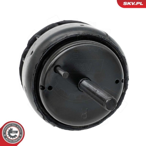 ESEN SKV Lagerung, Motor 75SKV332