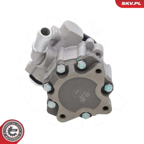 ESEN SKV Hydraulikpumpe, Lenkung 10SKV337