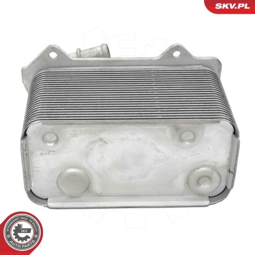 ESEN SKV &Ouml;lk&uuml;hler, Motor&ouml;l 31SKV335