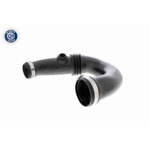 VAICO Ladeluftschlauch Q+, Erstausrüsterqualität V46-0918