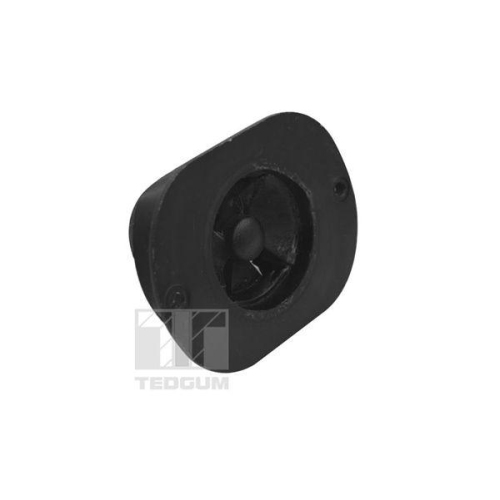 TEDGUM Lagerung, Motor