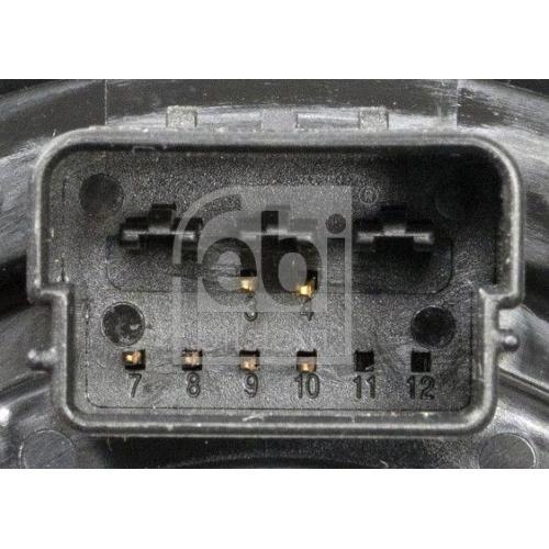 FEBI BILSTEIN Wickelfeder, Airbag febi Plus 199082