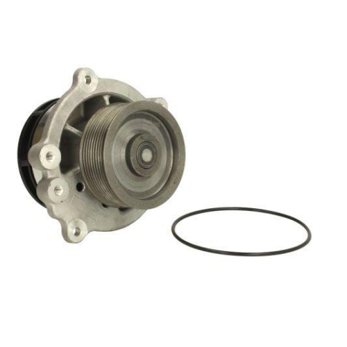 THERMOTEC Wasserpumpe, Motork&uuml;hlung WP-DF113