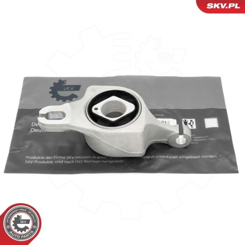 ESEN SKV Lagerung, Lenker 69SKV560