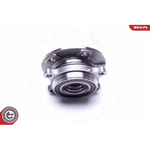 ESEN SKV Radlagersatz 29SKV309