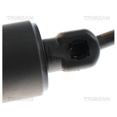 TRISCAN Gasfeder, Koffer-/Laderaum 8710 24302
