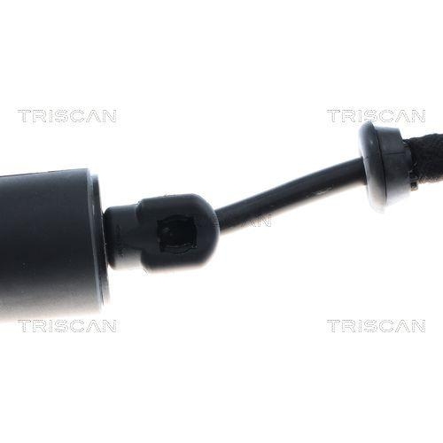 TRISCAN Gasfeder, Koffer-/Laderaum 8710 28301