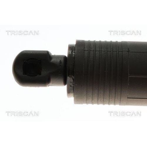 TRISCAN Gasfeder, Koffer-/Laderaum 8710 24301