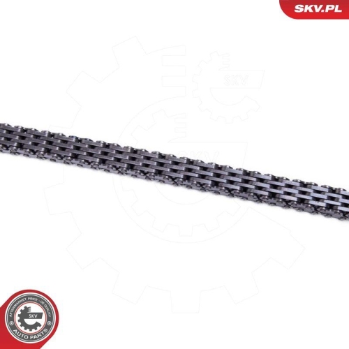 ESEN SKV Steuerkettensatz 21SKV271